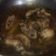 Cooksnap dari Anni untuk resep Sop ayam ala pak min klaten