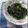 Cooksnap dari Agsha✨✅ untuk resep Petis Kangkung khas Semarang