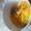 Cooksnap dari maisaroh untuk resep Asinan Mangga Muda
