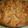 Cooksnap από Αλεξανδρα ΚΙΛΚΙΣ στη συνταγή Μηλόπιτα special