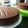 Cooksnap dari Fatin Rusiani untuk resep Black fores anti gagal