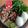 Cooksnap dari Nancy Firstiant's Kitchen untuk resep Penyet terong sambal kacang