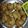 Aadhya gaur का कुकस्नैप जब उन्होंने लौकी के पकौड़े (lauki ke pakode recipe in Hindi) बनाया था।