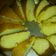 El cooksnap de Yanina Alanis cuando hizo Bizcochuelo de naranja casero, muy fácil de hacer.