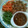 Cooksnap dari julia rachmawati untuk resep Bistik Ayam 