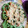 El cooksnap de Andrea Carranza cuando hizo Tallarines verdes.