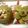 Sneha Patel's cooksnap of when they made ફરાળી શક્કરિયા નો શિરો (Farali Shakkariya Sheera Recipe In Gujarati).