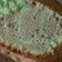 Cooksnap dari Rany Chiau untuk resep Chiffon Pandan Coklat