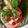 Vaishali Suhas 's cooksnap of when they made Guava katori fruit salad.