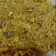 Cooksnap dari Satrio Sekti untuk resep Mie Goreng Nyemek