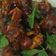 Cooksnap dari Yosima Laning untuk resep Kaki babi kecap pedas