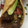 El cooksnap de XAVIER cuando hizo Tacos de bistec rib eye sonorense.