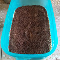 El cooksnap de Laura Gudy cuando hizo Tiramisú súper fácil.