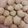 El cooksnap de 💕Andrea 💕 cuando hizo Galletitas de naranja glaseadas.