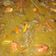 Cooksnap dari Dini Maharani untuk resep Tongseng Sapi #BikinRamadanBerkesan #29