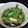 Cooksnap dari Liely Viriana untuk resep Cah Siomak Bawang Putih