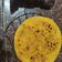 mitu madlani's cooksnap of when they made મસાલા થેપલા.