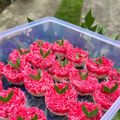 Cooksnap dari de medeza untuk resep Sengkulun Tepung Ketan