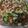 Cooksnap dari neneng karyanah untuk resep Cah kangkung tempe