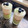 El cooksnap de Chiscow cuando hizo Yogurt griego con cereales con té matcha.