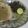 pratik padhiyar's cooksnap of when they made Bhindi fry.