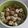 El cooksnap de Silvi cuando hizo Ensalada de rábanos y tomate con queso en aceite.