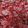 Leah Ellias's cooksnap of when they made Real Cranberry Sauce.