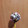 El cooksnap de Espe Afan cuando hizo Cake Pops 🍡.