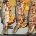 Cooksnap από Φοίβη Λ. στη συνταγή Λαβράκια ψητά με λαχανικά και λαδολέμονο εσπεριδοειδών