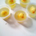Cooksnap dari Suripman Prasetyo untuk resep Puding Bebek 2D dan 3D