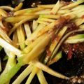 Cooksnap dari agustika25 untuk resep Sambal mangga