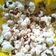 Cooksnap dari Xein untuk resep Popcorn asin