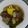Cooksnap dari Oka Cempaka untuk resep Sayur asem kacang merah