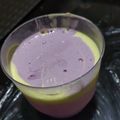 Cooksnap dari siti untuk resep Es Krim Pelangi enak simple