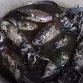 Cooksnap dari Nancy Johan untuk resep 7.Cumi masak hitam