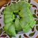 Cooksnap dari feby hayden untuk resep Puding Lumut Pandan