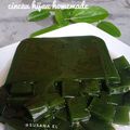 Cooksnap dari Susana el untuk resep 252. Cincau Hijau Homemade