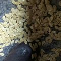 Cooksnap dari Nita Bonito untuk resep Kuaci Biji Labu Kuning