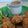 Rita Gajjar's cooksnap of when they made ચણા દાલ વડા કેરલા ફેમસ (Chana Dal Vada Kerala Famous Recipe In Gujarati).