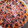 El cooksnap de David López Soriano cuando hizo Clafoutis con cerezas (receta francesa).