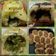 Cooksnap dari Henny Kartikasari untuk resep Milk chesse bread happy call