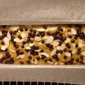 Cooksnap dari Sari_NWP untuk resep Healthy Banana Cake (Gluten Free, Sugar Free, Dairy Free)