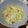 Cooksnap dari CE untuk resep Tumis sawi putih dg telur