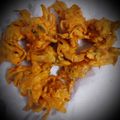 Komal Khatwani's cooksnap of when they made કાંદા ના ભજીયા(kanda na bhajiya in Gujarati).