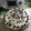 El cooksnap de vparche cuando hizo Tarta guinness con thermomix.
