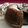 El cooksnap de Fini Bautista Angulo cuando hizo Bizcocho volcán de chocolate.