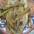 Cooksnap của Xuân Lê khi họ làm theo món Cá diêu hồng nướng giấy bạc