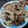 El cooksnap de Alicia Mendez cuando hizo Galletitas con chocolate picado.