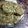 El cooksnap de Anto cuando hizo Bocadillos de espinaca en crudo light de harina integral.