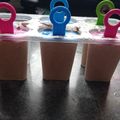 El cooksnap de Monica Riffo cuando hizo Helado de coco y chocolate Grez.